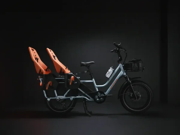 Rad Power Bikes RadWagon 5 Review 2024 Haul Even More